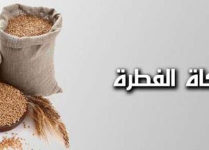 المدونة المصغرة