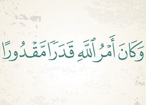 المدونة المصغرة
